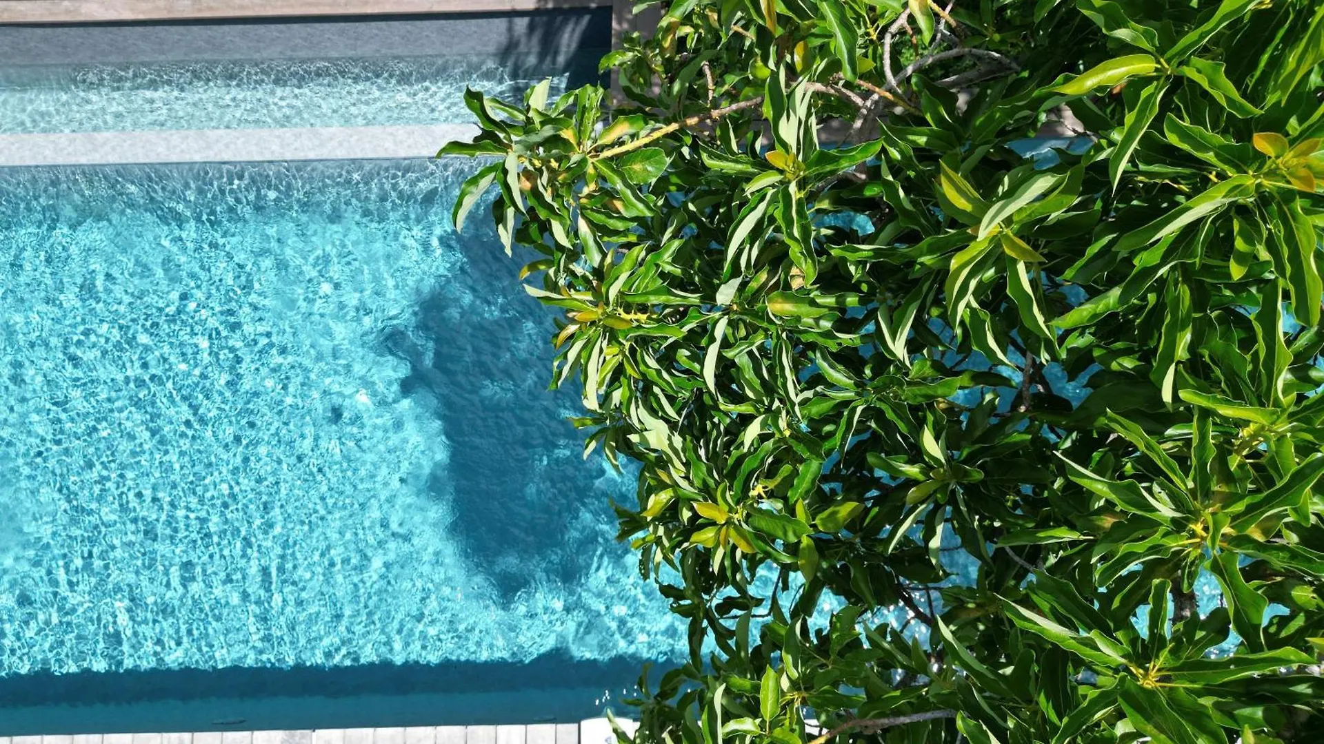 Villa Cabanes - Piscine A Debordement & Plage サン・フランソワ 0*,